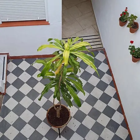 Apartment La Alborea *